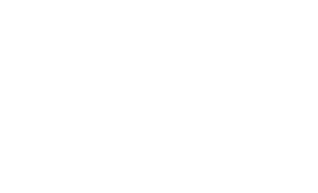 sopro logo